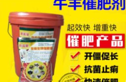 真正实惠唯美图片头像,真正实惠唯美图片头像精选