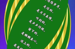 一日一句正能量2024版