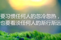 励志的句子经典语录,经典励志语录的力量