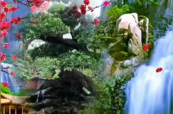 鸟语花香人间仙境图片,鸟语花香中的绝美画卷