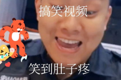 搞笑的视频,搞笑视频盘点，欢乐瞬间尽收眼底
