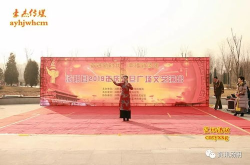 汤阴艺术,千年剪纸之乡的文化瑰宝