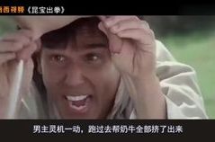 搞笑经典电影大全 爆笑,盘点搞笑经典电影，爆笑瞬间让你回味无穷