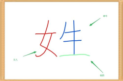 一女牵牛过板桥打一字,一女牵牛过板桥，揭秘谜底之谜”