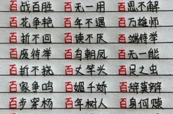 尽开头的成语,尽善尽美——探索完美追求之路
