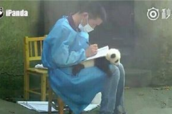 史上最搞笑的图片,盘点史上最搞笑的图片瞬间