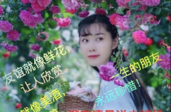 早上好美女图,温馨问候传递美好心情