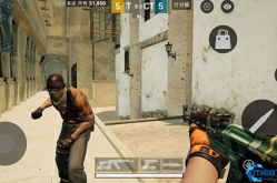暴躁老阿姨csgo,CSGO战场上的传奇女性玩家