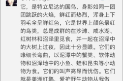仙气十足高雅的四字成语,探寻古典文化中的高雅四字成语”