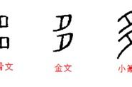 一口咬住多半截打一个字,一口咬住多半截，揭秘汉字奥秘