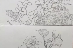 徐老师的绘画作品,自然灵性与传统创新的交融
