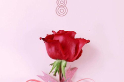 三八妇女节创意祝福语,温馨祝福，致敬巾帼力量